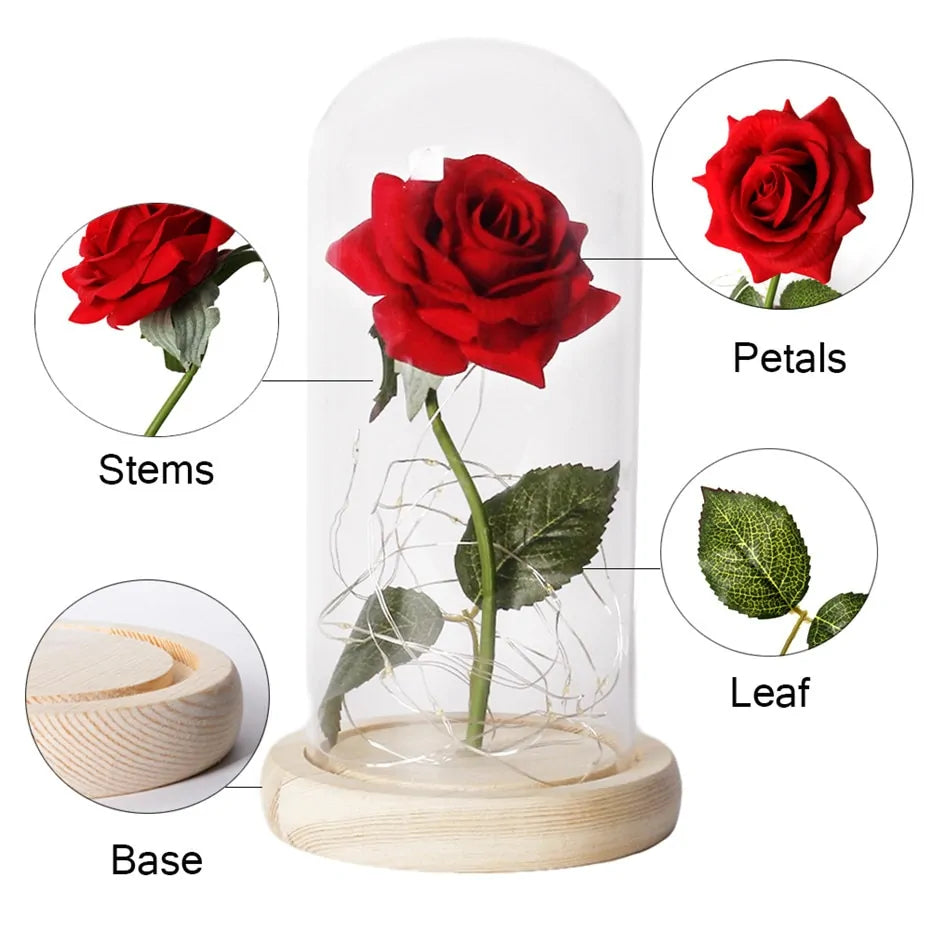 Rose In LED Glass- Beauty And The Beast Rose