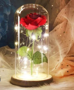 Rose In LED Glass- Beauty And The Beast Rose