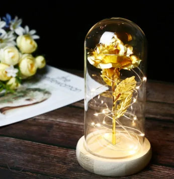 Rose In LED Glass- Beauty And The Beast Rose