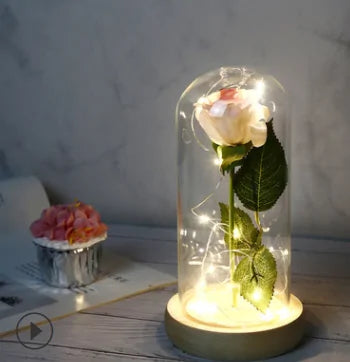 Rose In LED Glass- Beauty And The Beast Rose